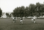 0_000_001_324.jpg