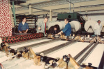 0_000_001_461.jpg