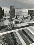 0_000_001_883.jpg