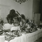 0_000_002_373.jpg