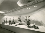 0_000_002_386.jpg