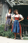 0_000_002_520.jpg