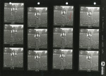 0_000_003_015.jpg