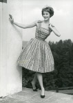0_000_003_163.jpg