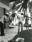 0_000_003_544.jpg