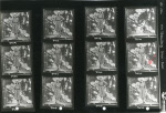 0_000_003_847.jpg