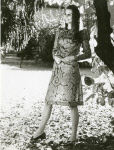 0_000_004_723.jpg