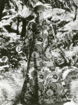 0_000_004_774.jpg