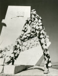 0_000_004_776.jpg