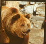 0_000_004_821.jpg