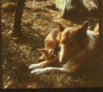 0_000_004_825.jpg