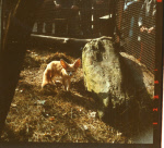 0_000_004_828.jpg