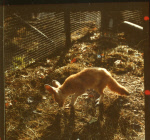 0_000_004_829.jpg
