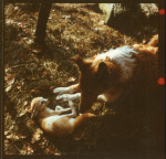 0_000_004_830.jpg