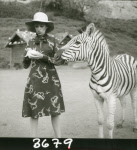 0_000_004_852.jpg