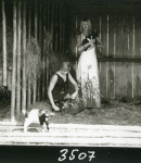 0_000_004_864.jpg