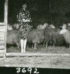 0_000_004_881.jpg